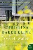 Sweet Water - Roman despre secrete si iertare, carte straina in engleza, autoare bestseller NYT