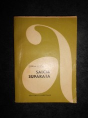 Stefan Luca - Salcia suparata foto