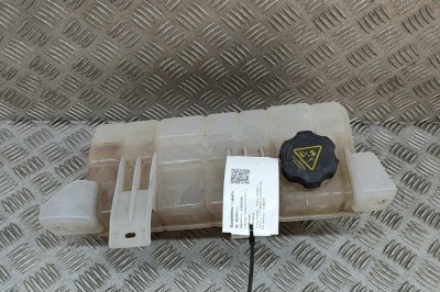 Vas de expansiune TESLA MODEL X 2017 OEM: 1036124-00-O 25805261 foto