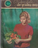 Cartea "Trufandale din gradina mea" de Elena Florescu, Editura Casa, ilustratii Iulian Olariu, romana, brosata, 141 pagini, 1968
