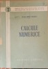 CALCULE NUMERICE - HARALAMBIE IONESCU