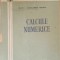 CALCULE NUMERICE - HARALAMBIE IONESCU