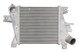 Radiator intercooler NISSAN X-TRAIL I (T30) (2001 - 2013) THERMOTEC DA1011TT