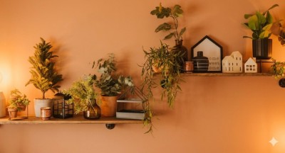 test produs la comanda foto