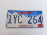 South Dakota Inmatriculare USA original, decor de perete
