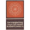- Intrebari care isi cauta raspunsul - 130324
