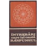 - Intrebari care isi cauta raspunsul - 130324