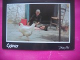 HOPCT 15700 SCENA RURALA CIPRU -EUROPA -NECIRCULATA