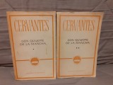 DON QUIJOTE DE LA MANCHA-MIGUEL CERVANTES (2 VOL)