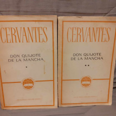 DON QUIJOTE DE LA MANCHA-MIGUEL CERVANTES (2 VOL)