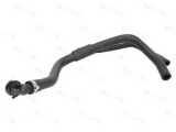 Furtun radiator RENAULT MASTER III platou / sasiu (EV, HV, UV) (2010 - 2016) THERMOTEC DWR089TT