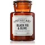 Paddywax Apothecary Fig &amp; Olive lum&acirc;nare parfumată 226 g
