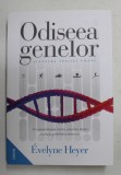 ODISEEA GENELOR - AVENTURA SPECIEI UMANE de EVELYNE HEYER , 2021 * LIPSA MIC FRAGMENT COPERTA SPATE