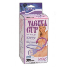 Pompa pentru excitarea vaginului
