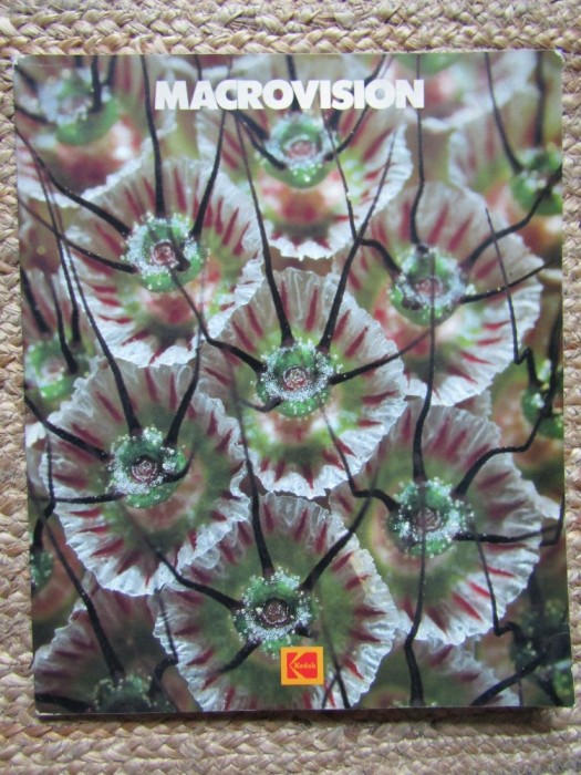 MACROVISION NR 47 1981