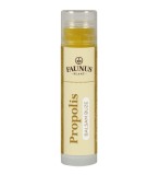Balsam buze cu Propolis si vitamina E, 5ml, Faunus Plant