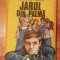 Jarul din palma de George Sovu