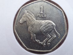BOTSWANA 1 PULA 1991 unc // F2 foto
