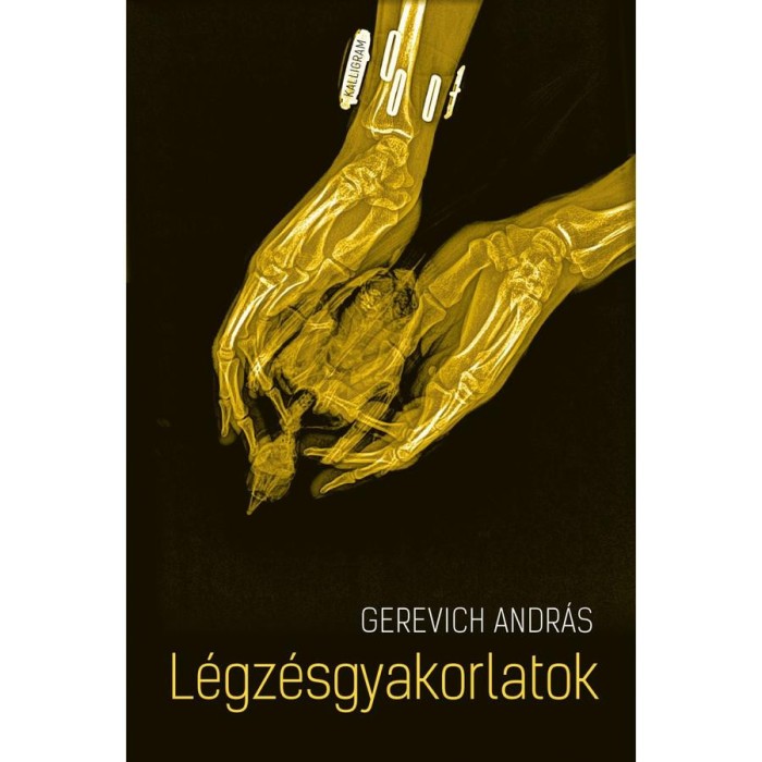 L&eacute;gz&eacute;sgyakorlatok - Gerevich Andr&aacute;s