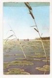 RF180 - Carte Postala - Delta Dunarii, circulata