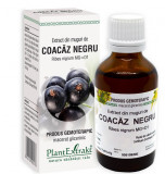 Extract din Muguri de Coacaz Negru 50ml, Plantextrakt