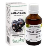 Extract din Muguri de Coacaz Negru 50ml