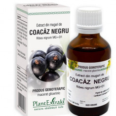 Extract din Muguri de Coacaz Negru 50ml