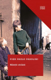 Băieții străzii - Paperback brosat - Pier Paolo Pasolini - Litera