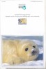 Bnk cp Foca - felicitare necirculata, Printata