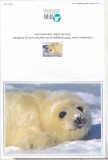 bnk cp Foca - felicitare necirculata