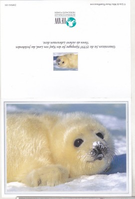 bnk cp Foca - felicitare necirculata foto
