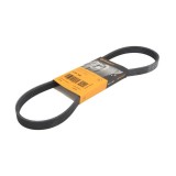 Curea Transmisie Caneluri Citroen Berlingo (2003-2007) 5PK860