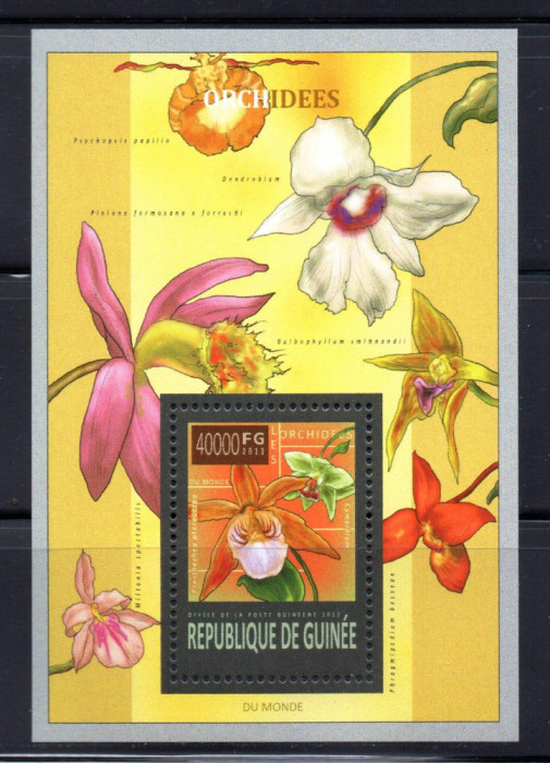 Guineea 2013, Flora, Orhidee, serie neuzată, MNH