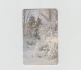 bnk card Cartele telefonice - Romania Romtelecom 2005 - Winter 4 - Col:RO-ROM-0278B