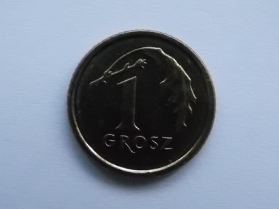1 GROSZ 2015 POLONIA foto