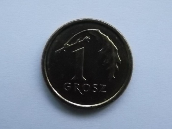 1 GROSZ 2015 POLONIA