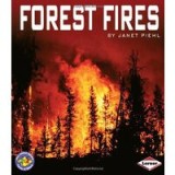 Forest Fires