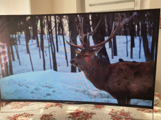 Televizor LG Oled 3D cu diamante Swarovski foto