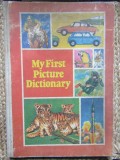 My first picture dictionary - Albin Stanescu
