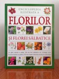 Mick Lavelle, Enciclopedia ilustrată a florilor și florei sălbatice