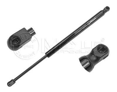 Amortizor / telescop hayon Ford Focus I hatchback 2003- 13172 1313218 foto