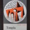Nicolae Ioana - Templu sub Apa