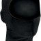 Cagula Snow/Ski Zanheadgear Nylon Black Cod Produs: MX_NEW 25030201PE
