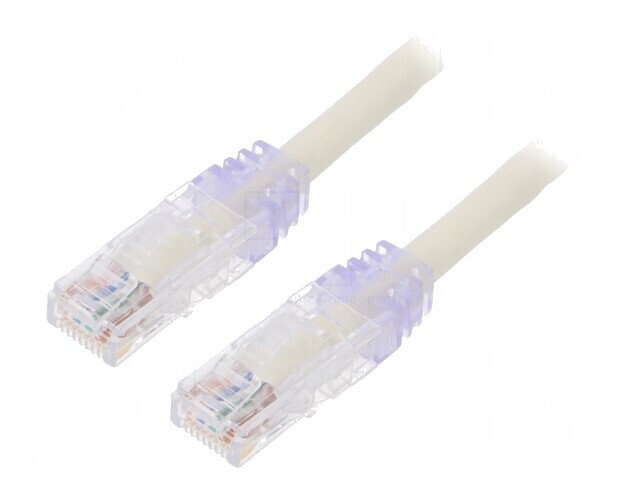 Patch cord U/UTP CAT6 LSZH Alb 0.5m