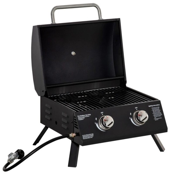 Gratar camping, grill dreptunghiular, cu gaz, 2 arzatoare, capac, termometru, 55x46.5x41 cm GartenVIP DiyLine