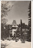 CPIB 15867 CARTE POSTALA - SINAIA. CASA DE CREATIE &quot;PELISORUL&quot;, RPR, Circulata, Fotografie