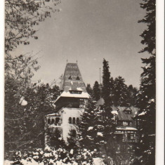 CPIB 15867 CARTE POSTALA - SINAIA. CASA DE CREATIE "PELISORUL", RPR