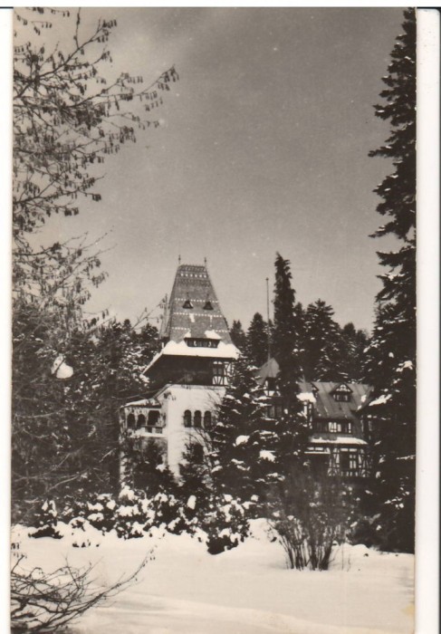 CPIB 15867 CARTE POSTALA - SINAIA. CASA DE CREATIE &quot;PELISORUL&quot;, RPR