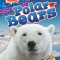 Polar Bears