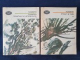 Holderlin &ndash; Hyperion. Moartea lui Empedocle. Imnuri si ode (2 vol.)